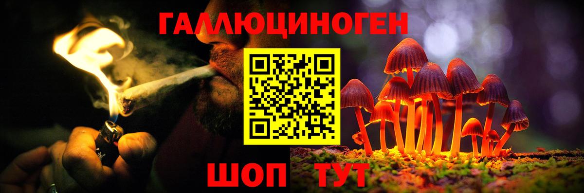 Галлюциногенные грибы Psilocybine cubensis Семёнов